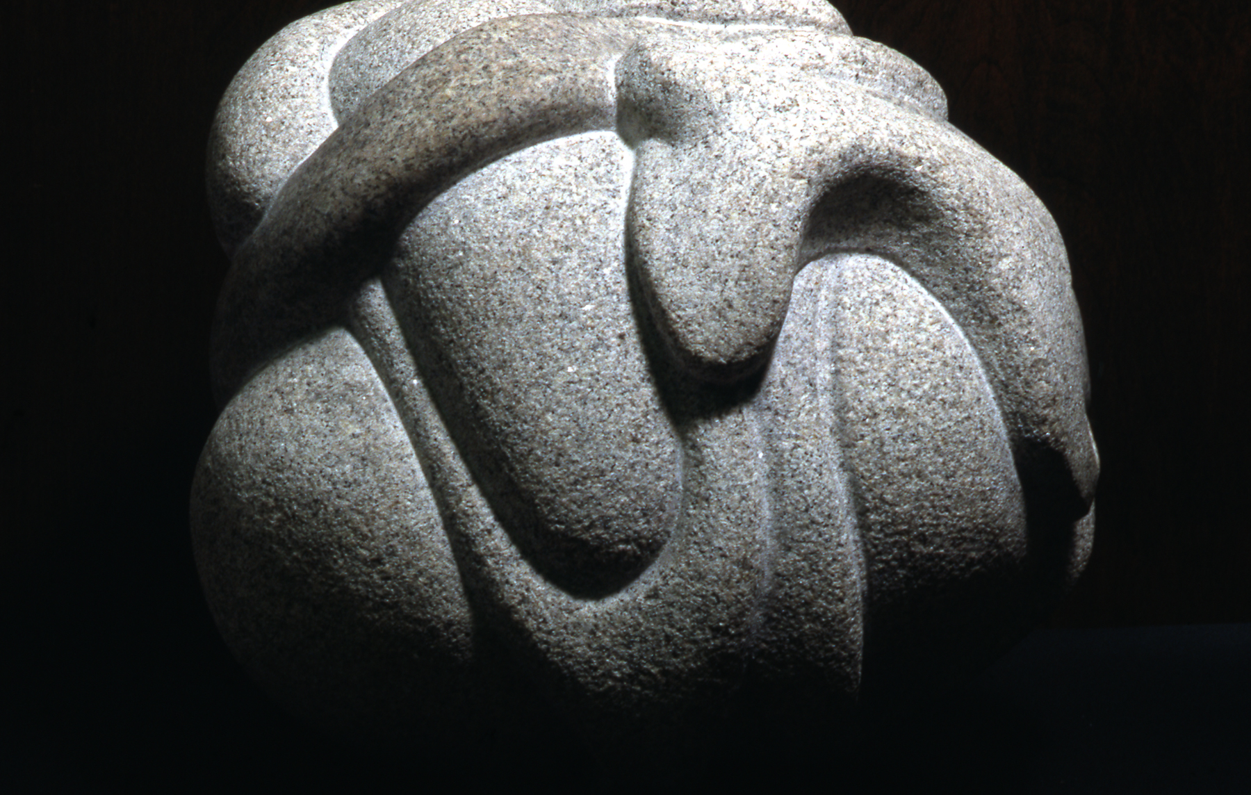 Coiled Energy Gray stone carved in graceful stretching forms