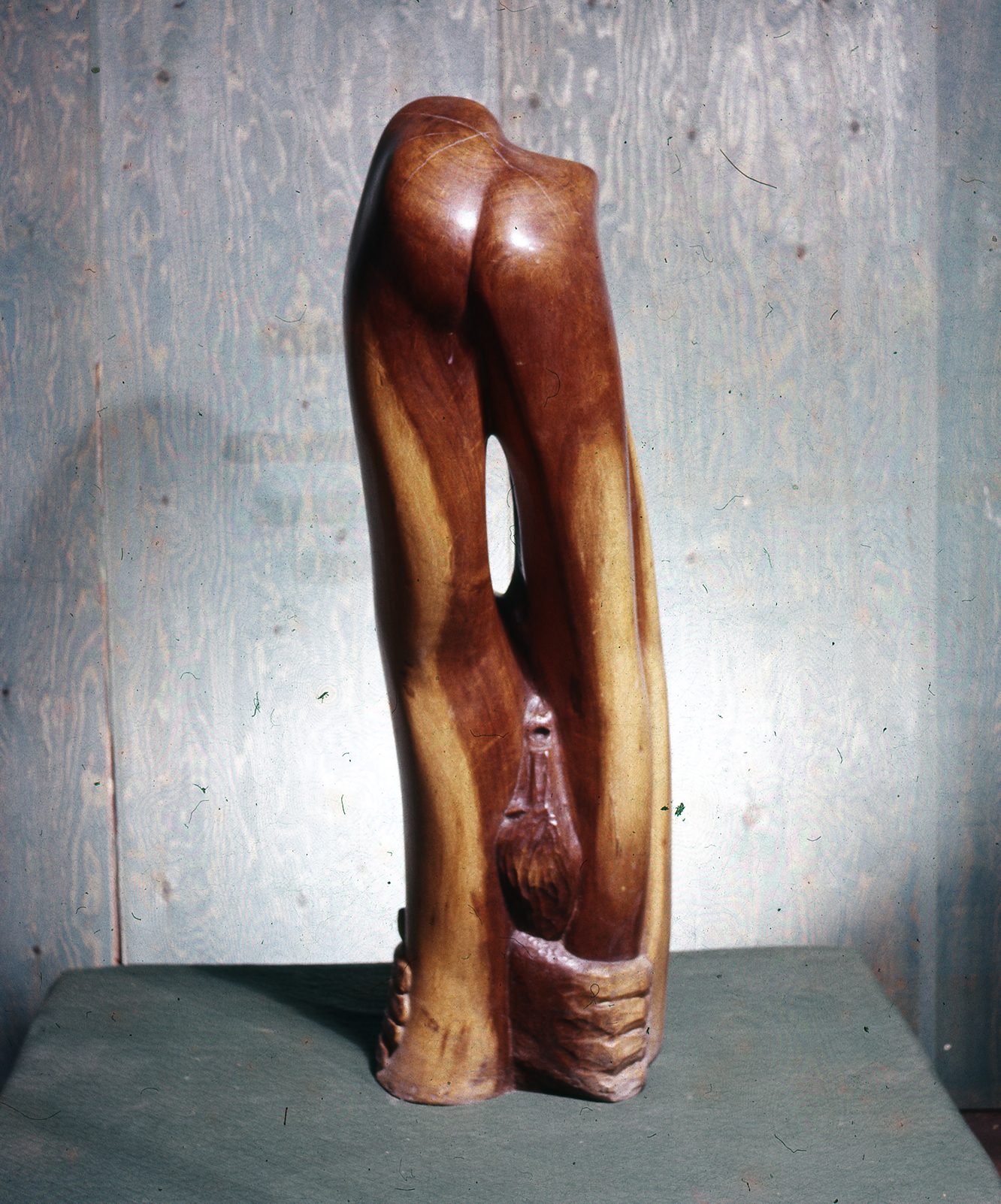 Introvert A smooth carved wooden figure
